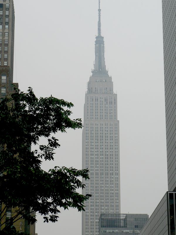 Empire State Building: Empire State Building 41
